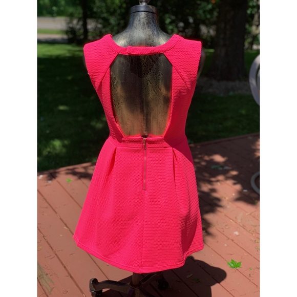 Windsor Pink Backless Dress - Picture 3 of 4